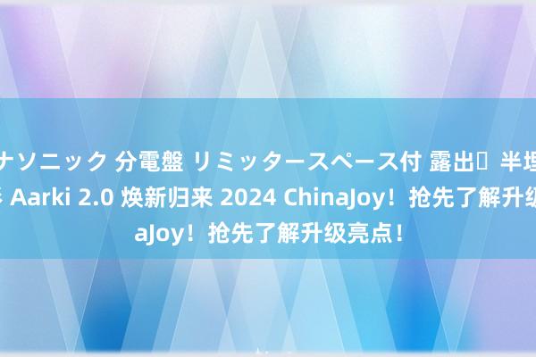 パナソニック 分電盤 リミッタースペース付 露出・半埋込両用形 Aarki 2.0 焕新归来 2024 ChinaJoy！抢先了解升级亮点！
