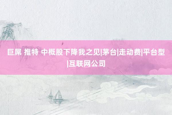 巨屌 推特 中概股下降我之见|茅台|走动费|平台型|互联网公司