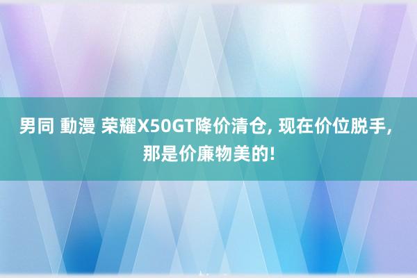 男同 動漫 荣耀X50GT降价清仓， 现在价位脱手， 那是价廉物美的!