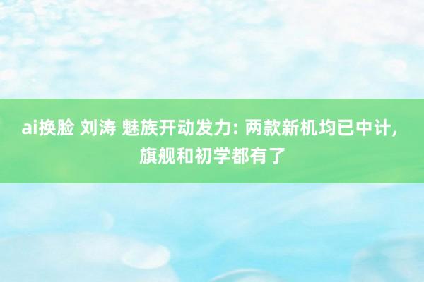 ai换脸 刘涛 魅族开动发力: 两款新机均已中计， 旗舰和初学都有了
