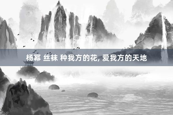 杨幂 丝袜 种我方的花， 爱我方的天地