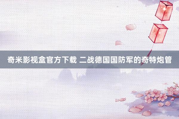 奇米影视盒官方下载 二战德国国防军的奇特炮管