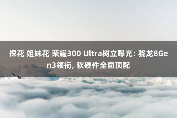探花 姐妹花 荣耀300 Ultra树立曝光: 骁龙8Gen3领衔， 软硬件全面顶配