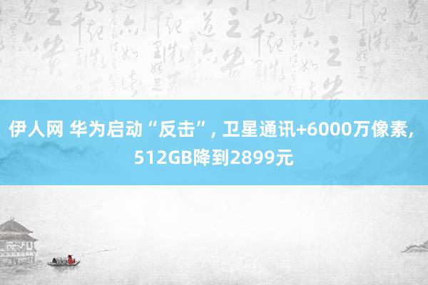 伊人网 华为启动“反击”， 卫星通讯+6000万像素， 512GB降到2899元