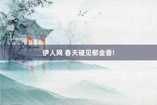 伊人网 春天碰见郁金香!