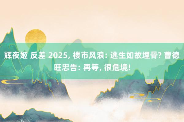 辉夜姬 反差 2025， 楼市风浪: 逃生如故埋骨? 曹德旺忠告: 再等， 很危境!